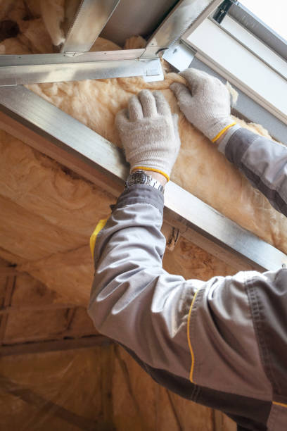Best Insulation Maintenance and Repair in Brookridge, FL