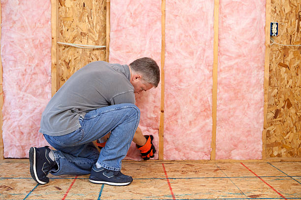 Best Types of Insulation in Brookridge, FL